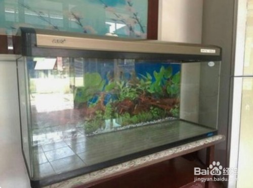榆中深藍(lán)水族店