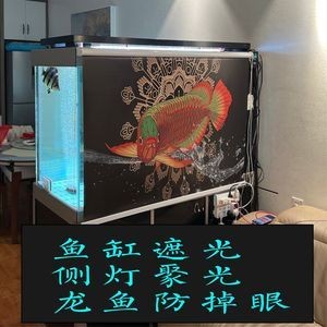 龍魚冬天上色用多少k的燈（冬季飼養(yǎng)龍魚時(shí)，選擇合適的燈光色溫對于龍魚上色至關(guān)重要）