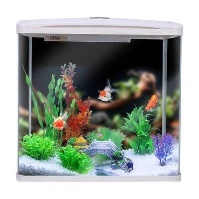 浮化玻璃魚缸的養護技巧超白玻璃魚缸的養護技巧：浮化玻璃魚缸的優勢