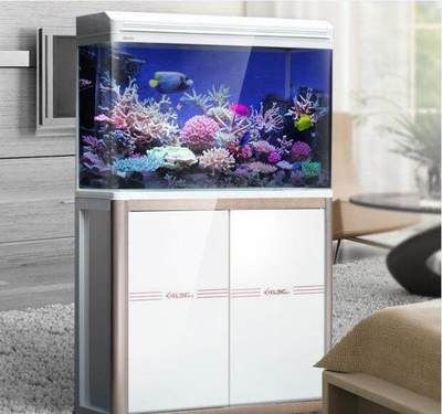 浮化玻璃魚缸的養護技巧超白玻璃魚缸的養護技巧：浮化玻璃魚缸的優勢