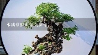 鵝卵石魚缸假山造型圖，魚缸假山制作教程視頻