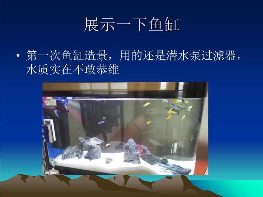 鯛科魚魚缸造景（鯛科魚缸造景需要考慮到多種因素，鯛科魚魚缸造景需要注意什么）