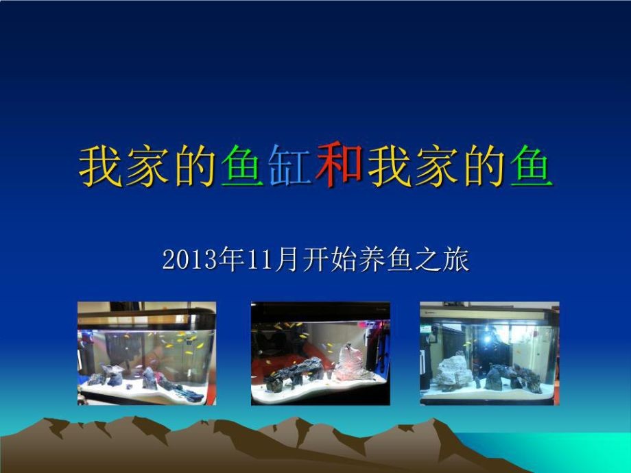鯛科魚魚缸造景（鯛科魚缸造景需要考慮到多種因素，鯛科魚魚缸造景需要注意什么）