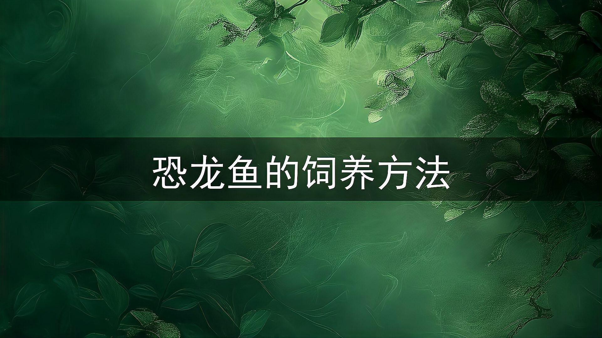 虎紋恐龍魚不吃飼料怎么辦