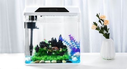 佳路魚(yú)缸觸控屏怎么設(shè)置的:佳路魚(yú)缸觸控屏的設(shè)置和使用方法 魚(yú)缸百科 第1張 佳路魚(yú)缸觸控屏怎么設(shè)置的:佳路魚(yú)缸觸控屏的設(shè)置和使用方法 佳路魚(yú)缸觸控屏怎么設(shè)置的:佳路魚(yú)缸觸控屏的設(shè)置和使用方法 魚(yú)缸百科 第1張