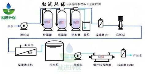皇宮vip龍魚官網(wǎng)下載：皇宮VIP龍魚官網(wǎng)下載，探索龍魚之美與養(yǎng)殖藝術(shù)