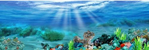 魚缸背景材質(zhì)對(duì)比選擇：魚缸背景材質(zhì)對(duì)比，魚缸背景材質(zhì)的安裝難度評(píng)估