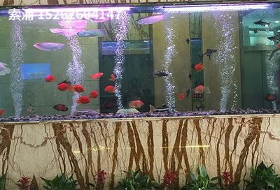 索浦魚缸售后電話地址：索浦魚缸官方售后確認(rèn)