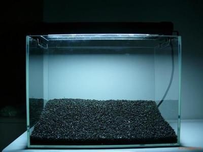 高錳酸鉀給魚缸消毒的具體步驟和注意事項(xiàng)：使用高錳酸鉀給魚缸消毒的具體步驟和注意事項(xiàng)