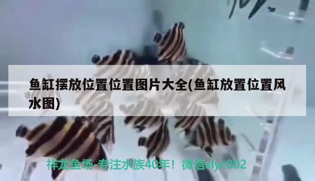 甘肅恒源偉業特種水產養殖有限公司（甘肅恒源偉業特種水產養殖有限公司招聘）