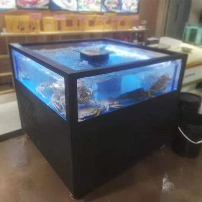 廣州魚缸回收廠家直銷（塑料回收技術的未來隨著塑料回收技術的研究和應用）