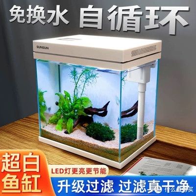 森森魚缸水不循環是什么問題：森森魚缸水不循環怎么辦