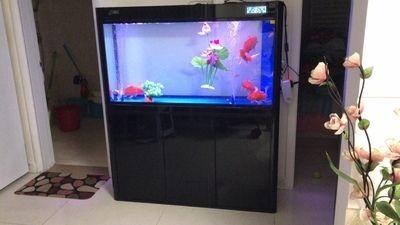 佳璐魚缸怎么樣好用嗎視頻：佳璐魚缸怎么樣