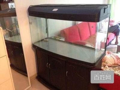 廣州魚缸市場的價格走勢：廣州魚缸定制服務