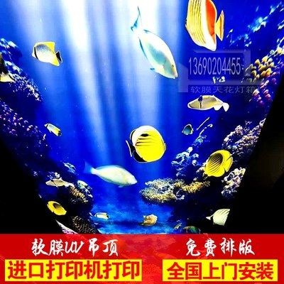 創世小玩家2 魚缸：《創世小玩家2》創世小玩家2魚缸制作經驗分享