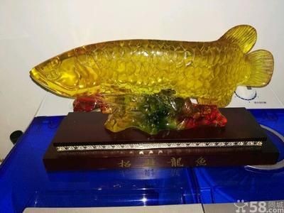 二手金龍魚買賣交易：二手金龍魚買賣交易時應謹慎選擇信譽良好的交易平臺