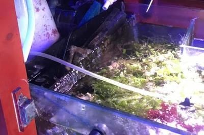 底濾魚缸清洗濾材魚怎么辦（底濾魚缸的清洗方式）