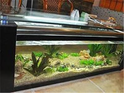 魚缸單價(jià)：不同魚缸的單價(jià)