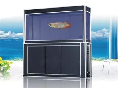 魚缸單價(jià)：不同魚缸的單價(jià)
