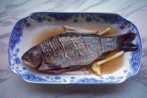六角恐龍魚的魚缸：六角恐龍魚的魚缸設計