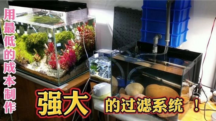 彩蝶魚(yú)缸廠家銷售電話號(hào)碼查詢（彩蝶魚(yú)缸加盟條件流程）