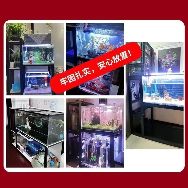 魚缸過濾系統的布局優化：如何優化魚缸過濾系統的布局