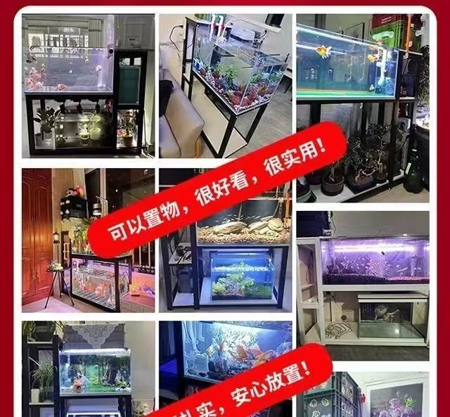 魚缸過濾系統的布局優化：如何優化魚缸過濾系統的布局