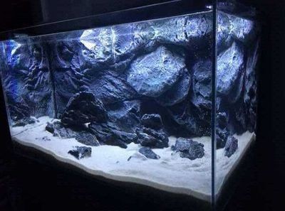 購買二手魚缸的注意事項