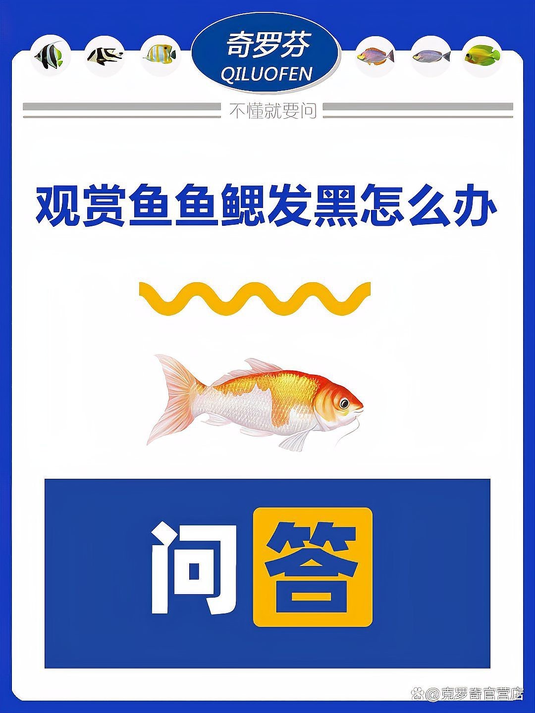 紅龍魚腮部發黑多久會好？