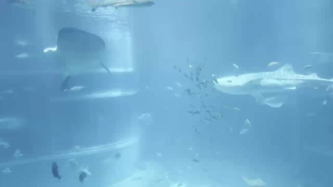 超巨大