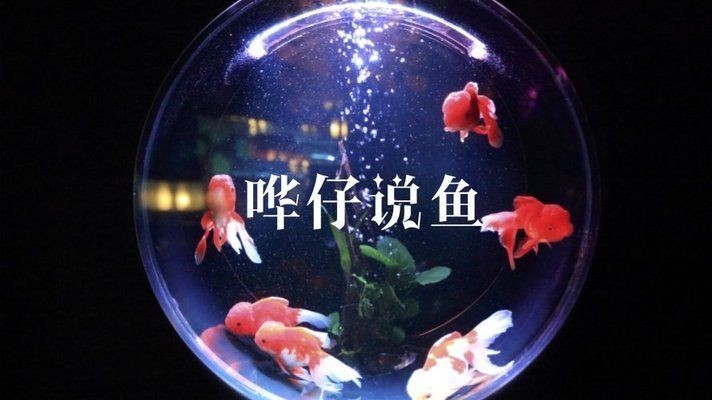 魚缸換水后水發白霧蒙蒙魚缸水質管理全攻略了解魚缸水質管理：魚缸換水后水發白霧蒙蒙怎么辦