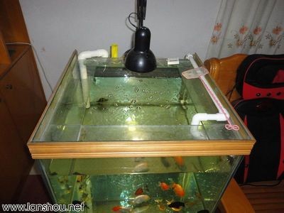 底濾魚缸過濾方式（底濾魚缸過濾系統的歷史演變了解魚缸過濾系統的歷史演變） 底濾魚缸過濾方式（底濾魚缸過濾系統的歷史演變了解魚缸過濾系統的歷史演變） 魚缸百科 第1張