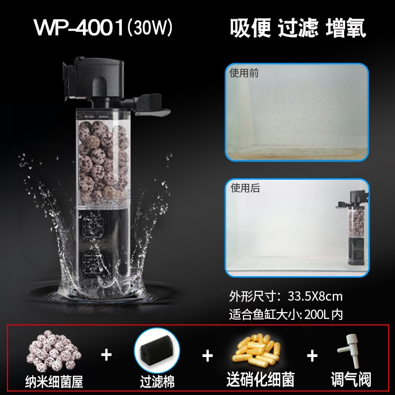 紅龍魚市場價多少錢一斤啊圖片及價格大全視頻（紅龍魚的價格是多少）