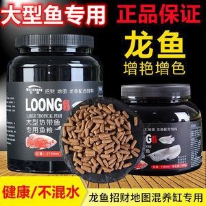 黃平龍魚的繁殖過程是怎樣的，平龍魚的繁殖過程是什么時候黃平龍魚的繁殖過程是什么時候