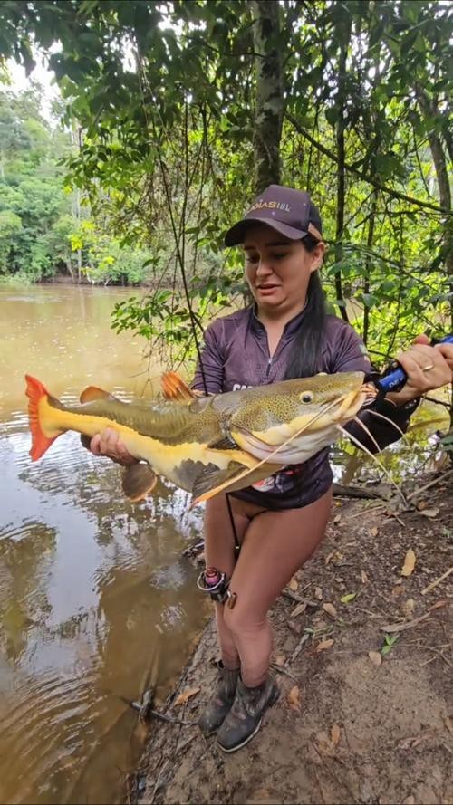招財貓魚和龍魚的區別是什么圖片 招財貓魚和龍魚的區別是什么圖片 龍魚百科 第2張