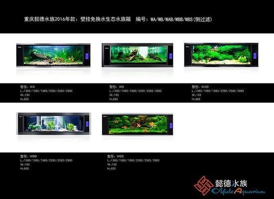定制魚缸需要注意什么：定制魚缸的注意事項