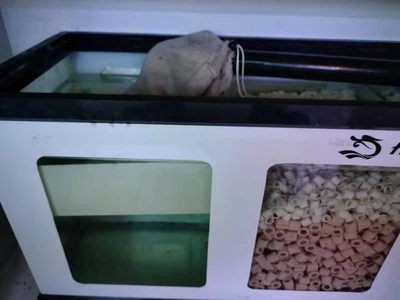 魚缸濾材怎么更換：如何更換魚缸濾材