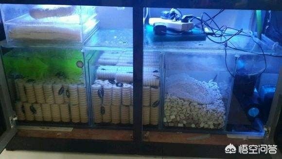 魚缸濾材怎么更換：如何更換魚缸濾材