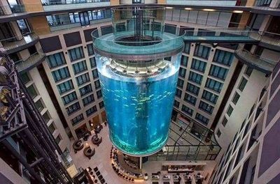 德國(guó)魚(yú)缸電梯品牌的知名品牌：德國(guó)魚(yú)缸電梯品牌
