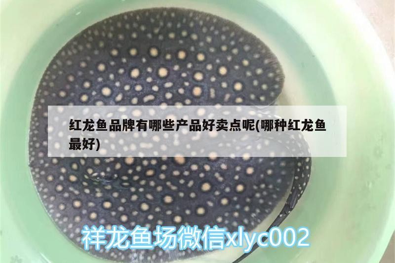 華亭縣安口鎮深港美發店（華亭縣安口鎮深港美發店電話）