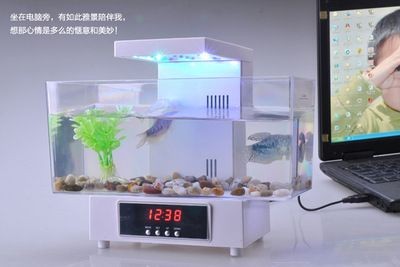 電子魚缸的價格及圖片：電子魚缸價格和圖片摘要：智能魚缸與傳統魚缸區別