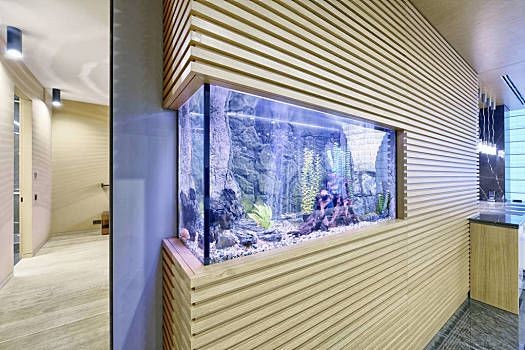 辦公室風水布局指南，辦公室風水與健康關(guān)系：公司魚缸擺放位置