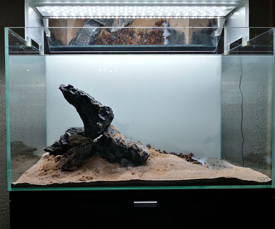 國外60鼠魚缸造景：國外60鼠魚缸造景詳情 國外60鼠魚缸造景：國外60鼠魚缸造景詳情 魚缸百科 第3張