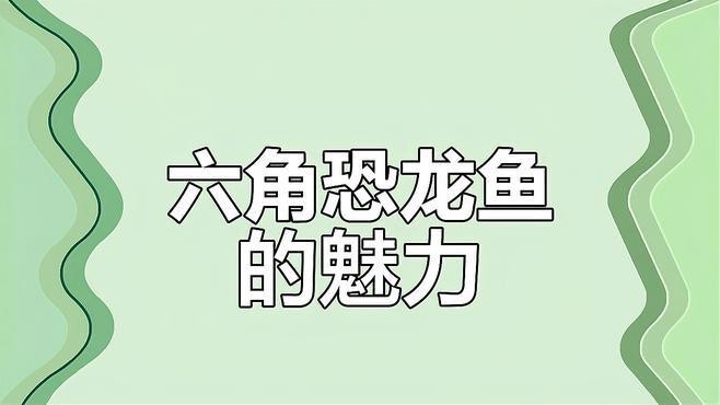 如何區分不同品種的六角恐龍魚？