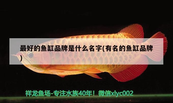 廣州市荔灣區易生水族器材店