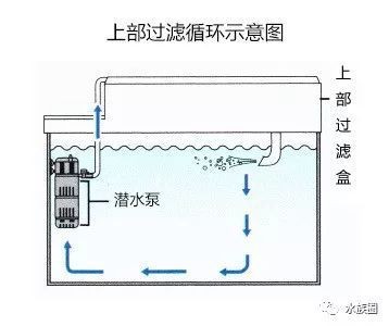 九臺區城西海韻水族館：九臺區城西海韻水族館電話