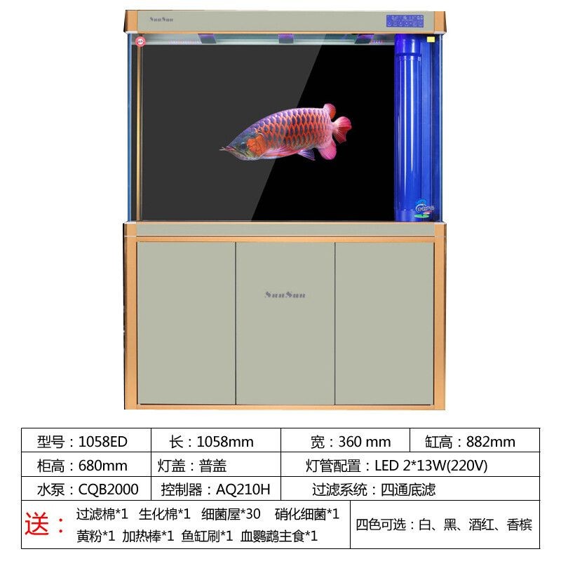龍魚缸尺寸（成年龍魚缸尺寸選擇合適的龍魚缸尺寸對于龍魚的健康和福祉至關重要）
