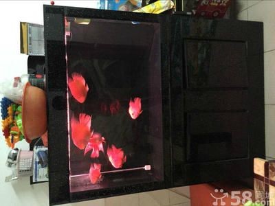黑金剛魚缸的優勢：黑金剛魚缸是一家專業的水族箱生產企業