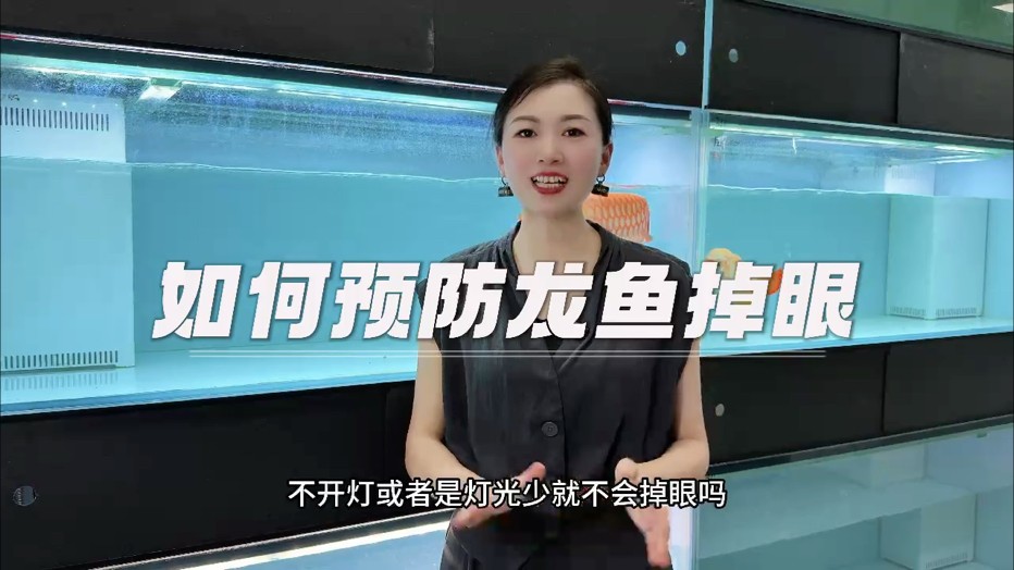 預防掉眼兩大注意事項： 1??光線均勻 2??魚缸照透 #萬隆天王紅龍 #龍魚 #觀賞魚 #紅龍魚