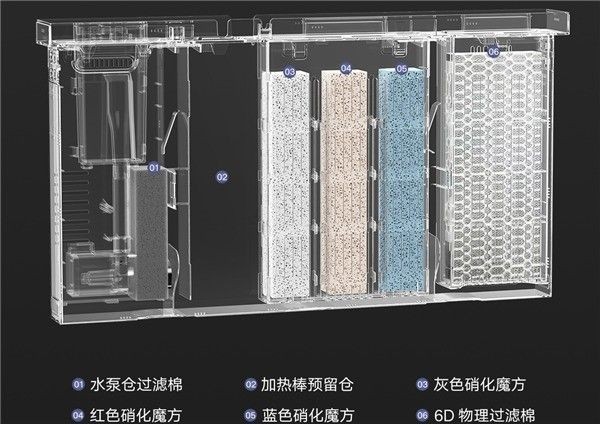魚缸中出現白色絮狀物是由多種原因引起的：魚缸中出現白色絮狀物可能是由多種原因引起的